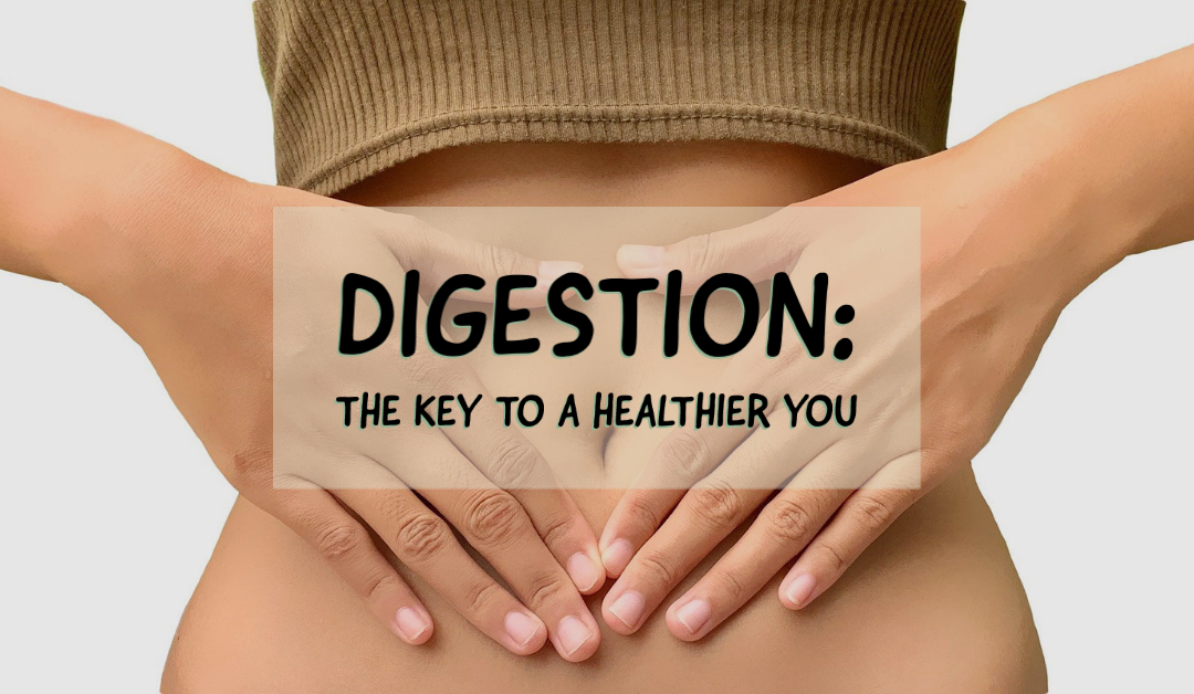 Digestion: The Key to A Healthier You